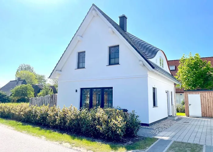 Mien Droom * 青斯特